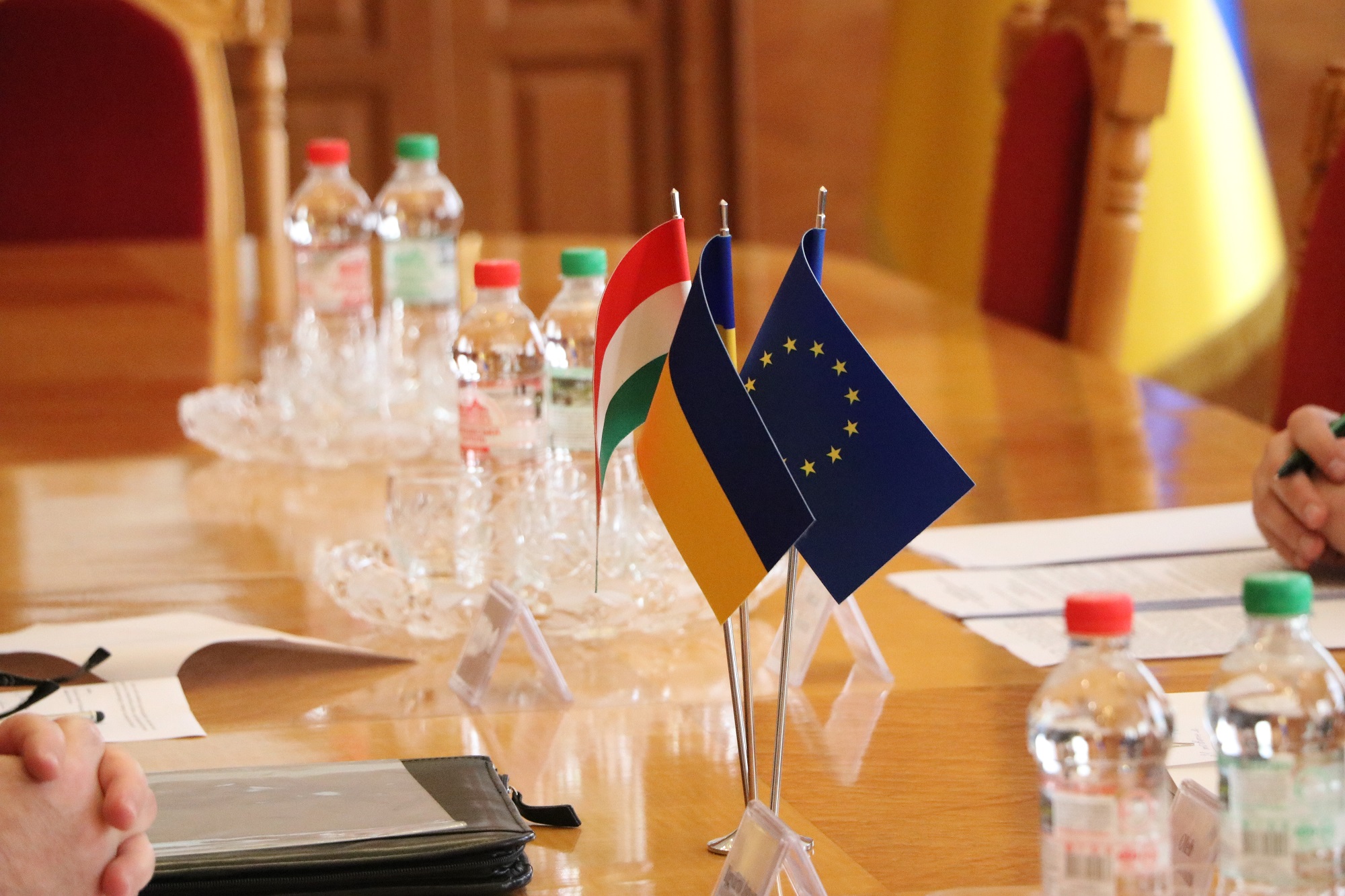 Про спільні пункти пропуску, розбудову Берегівської лікарні та об'їзної дороги говорили з угорськими дипломатами на Закарпатті (ФОТО)
