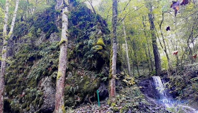 Урочище Кузій і таємниці його білих каменів (ФОТО)