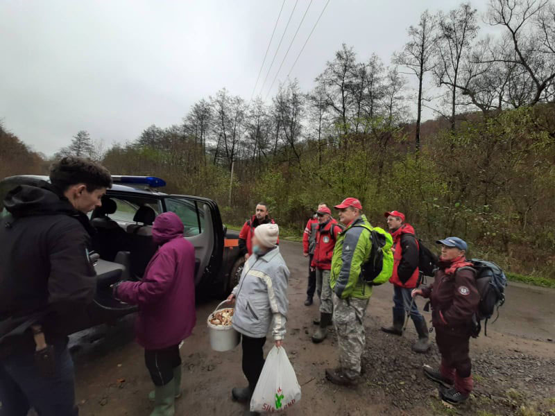 На Ужгородщині після цілої ночі пошуків знайшли двох грибарок, що заблукали в лісі (ФОТО)