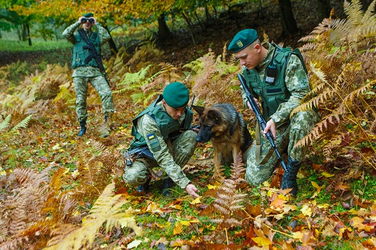 На Закарпатті контрабандисти втекли від прикордонників, покинувши 6 ящиків сигарет (ФОТО)