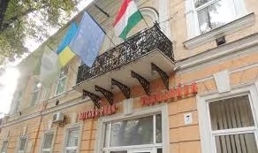 Влада Берегова судитиметься проти обмежень "червоної" зони