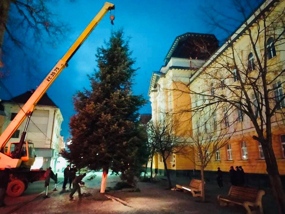 ФОТОФАКТ. У Берегові встановили новорічну ялинку