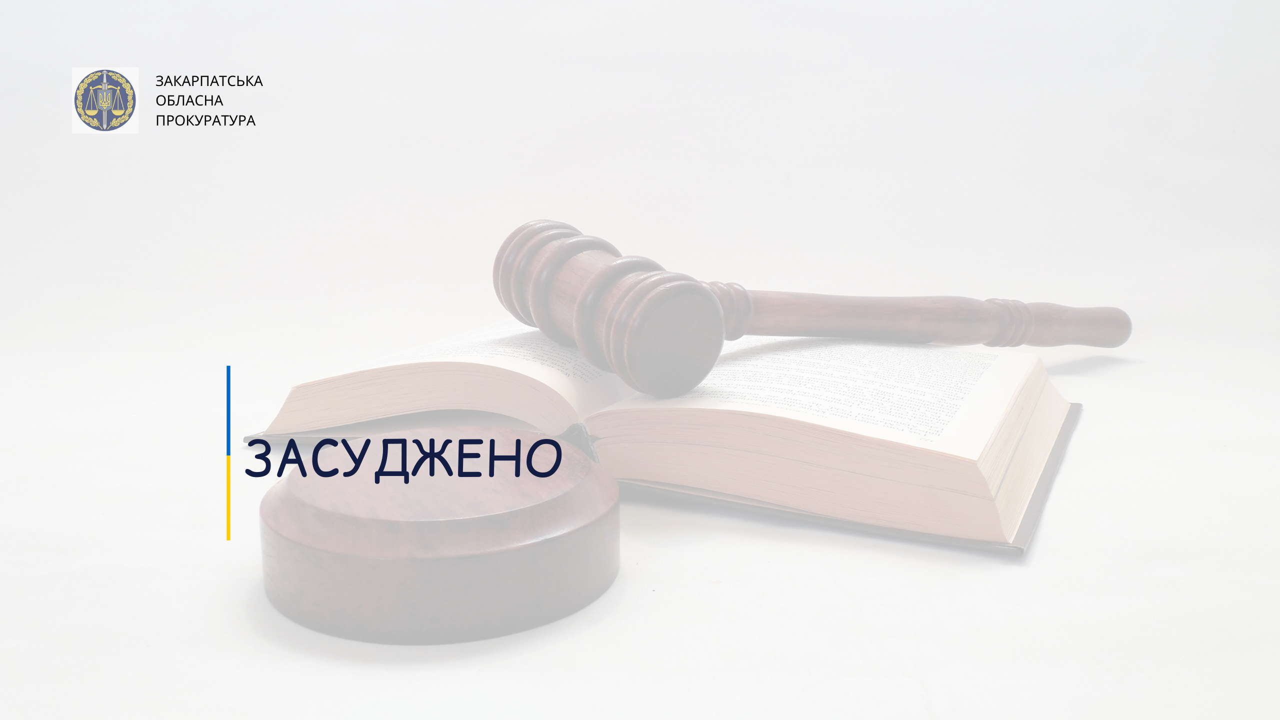 До 8 років позбавлення волі засуджено мукачівку за вбивство чоловіка