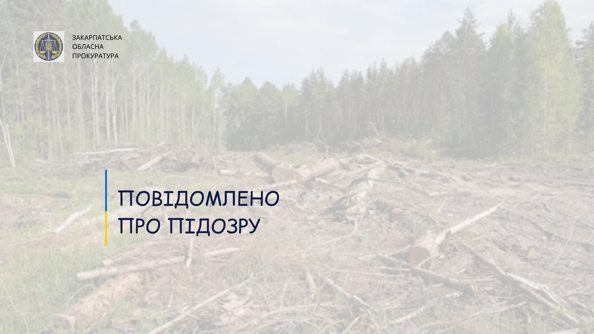 Майстра лісу на Закарпатті підозрюють у недбалих рубках зі збитками на понад 1,6 млн грн 