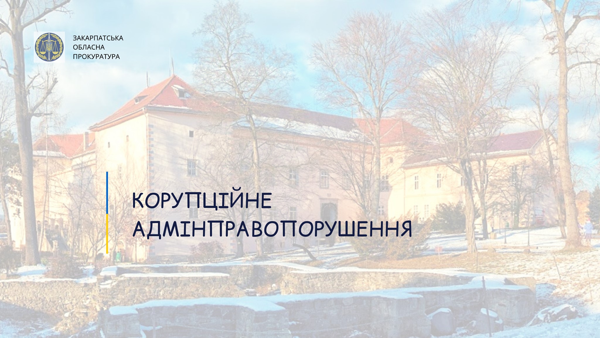 Суд визнав винним директора Закарпатського обласного краєзнавчого музею у корупційних правопорушеннях