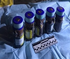 За 11 місяців на митниці на Закарпатті припинено 14 фактів незаконного переміщення зброї з порушенням законодавства