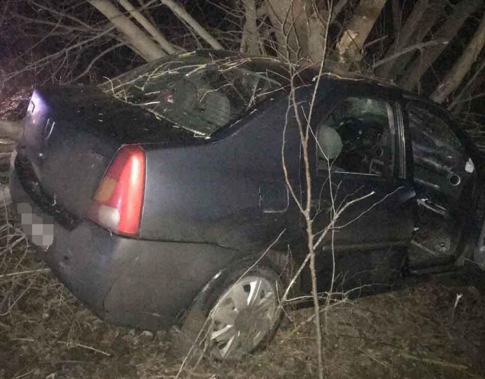 На Рахівщині "п'яний" Fоrd з'їхав у кювет, а зупинений у Берегові водій під наркотиками чинив опір поліції