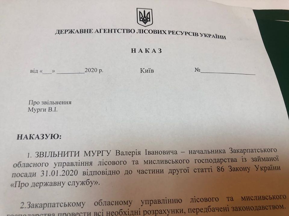 Валерія Мургу звільнено з посади начальника Закарпатського управління лісового та мисливського господарства (ДОКУМЕНТ)