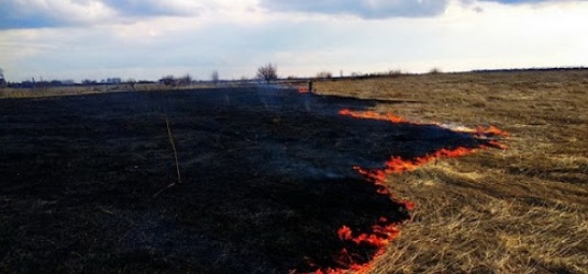 На Закарпатті люди продовжують спричиняти масові пожежі сухостою 