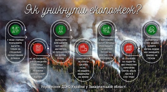 Лише за добу на Закарпатті гасили 38 пожеж в екосистемах