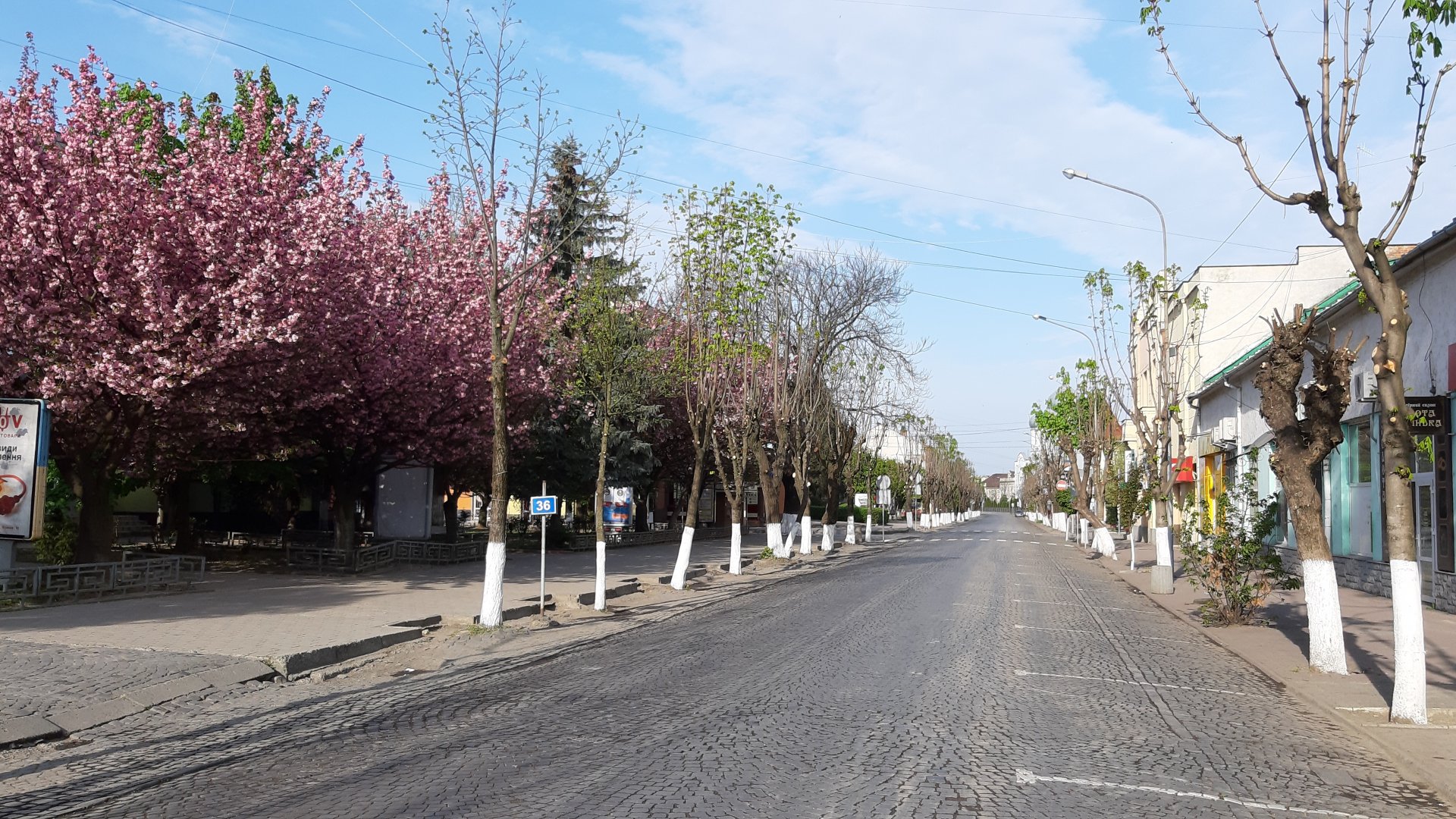 Вулиці Виноградова порожні, містяни святкують Великдень вдома (ФОТО, ВІДЕО)