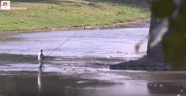 На Закарпатті триває період нересту риби (ВІДЕО)