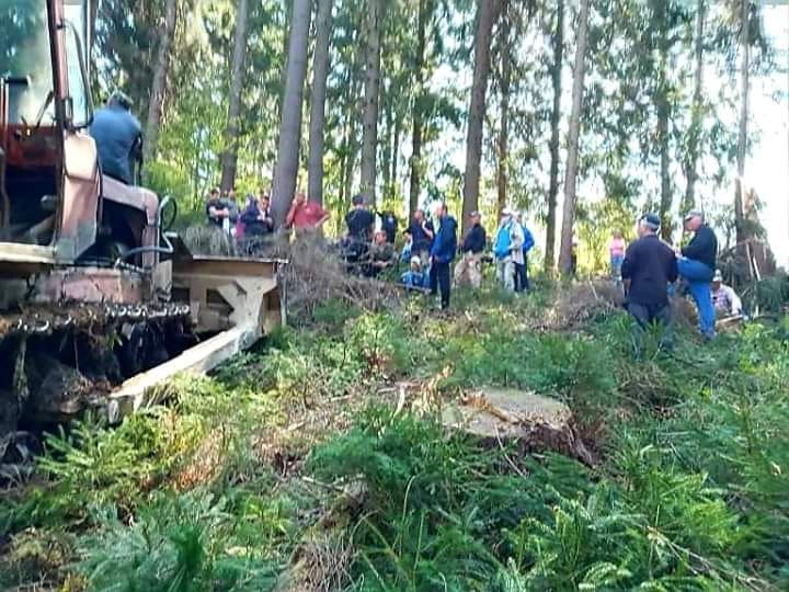 Селяни Річки і Тюшки на Міжгірщині збунтувалися проти "санітарної" рубки лісу (ФОТО, ВІДЕО)