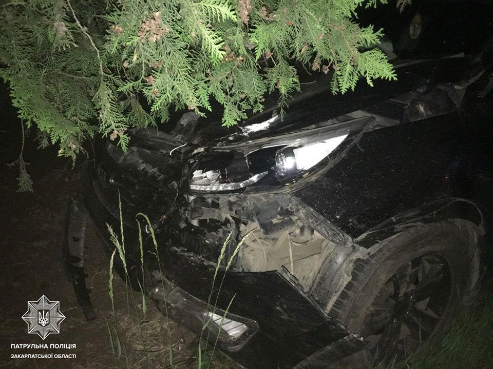 П'яний мукачівець, втікаючи від патрульних, зніс дорожній знак (ФОТО)