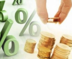 До бюджетів Закарпаття надійшло 53 млн грн акцизного податку з роздрібної торгівлі підакцизними товарами