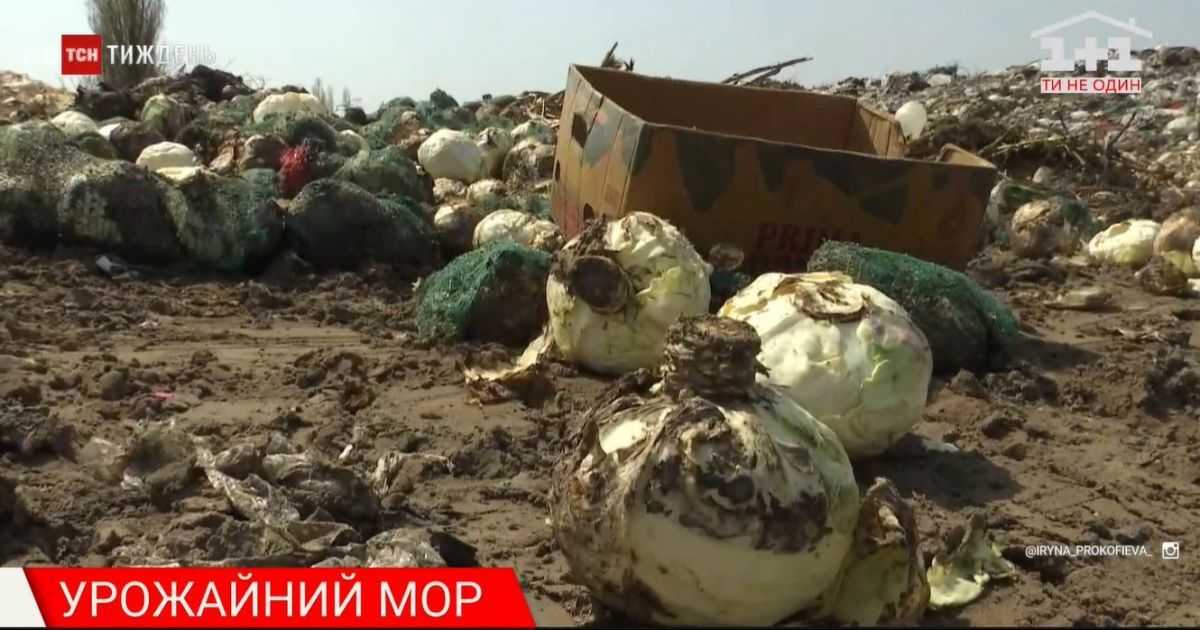 Масове відкриття ринків уже не врятує закарапатських виробників ранніх овочів (ВІДЕО)