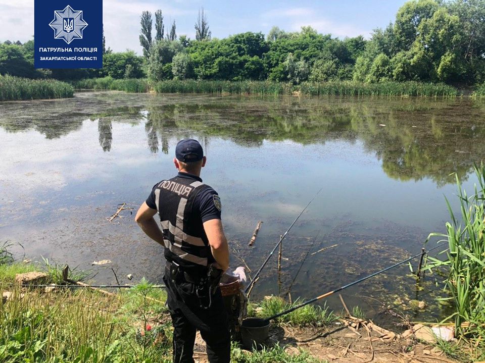 В Ужгороді через підлітків, що "полюють" на приручених лебедів, патрульні посилюють превентивні заходи