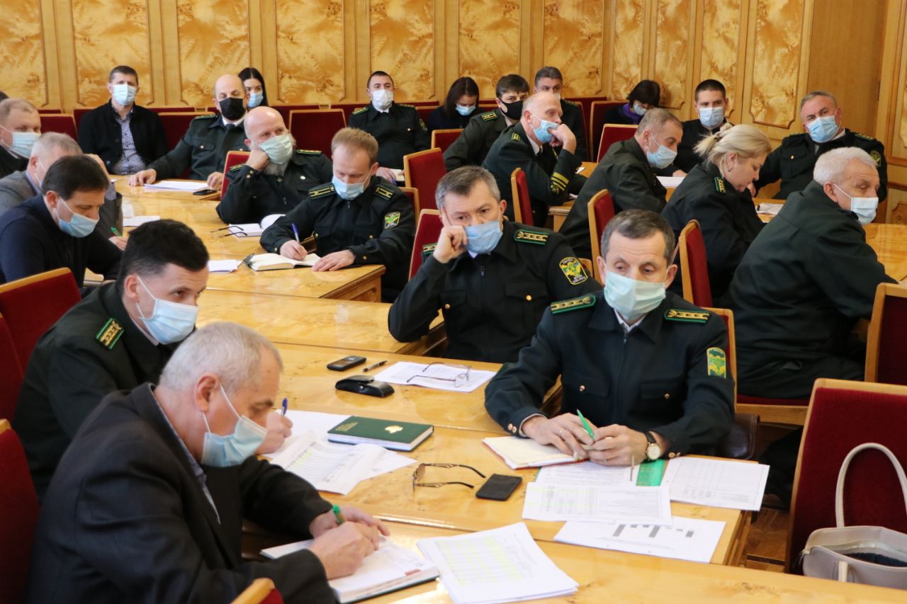 За останні 5 років на Закарпатті заготівля деревини зменшилася на 428 тис кубометрів (ФОТО)