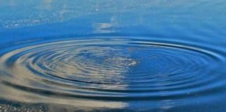 На Воловеччині дістали з Латориці ймовірного потопельника