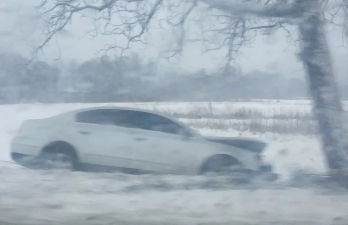 ФОТОФАКТ. На Іршавщині Volkswagen  влетів у дерево на узбіччі