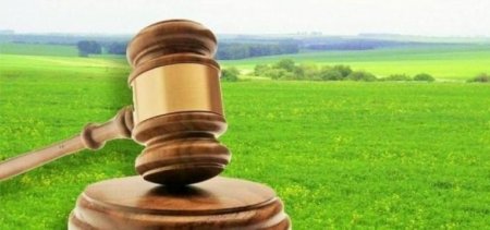 Мешканець Тячівщини за заволодіння землями на понад 1 млн грн постане перед судом