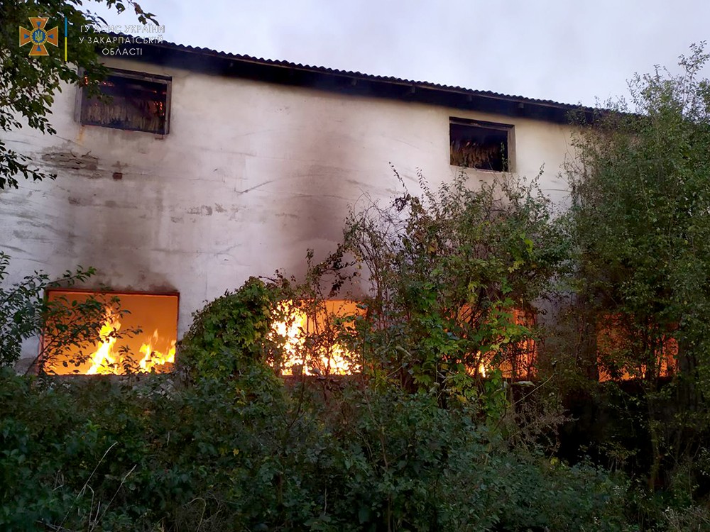 На Берегівщині під час пожежі на сільгосппідприємстві згоріло 40 тонн соломи та 20 тонн листя тютюну (ФОТО)