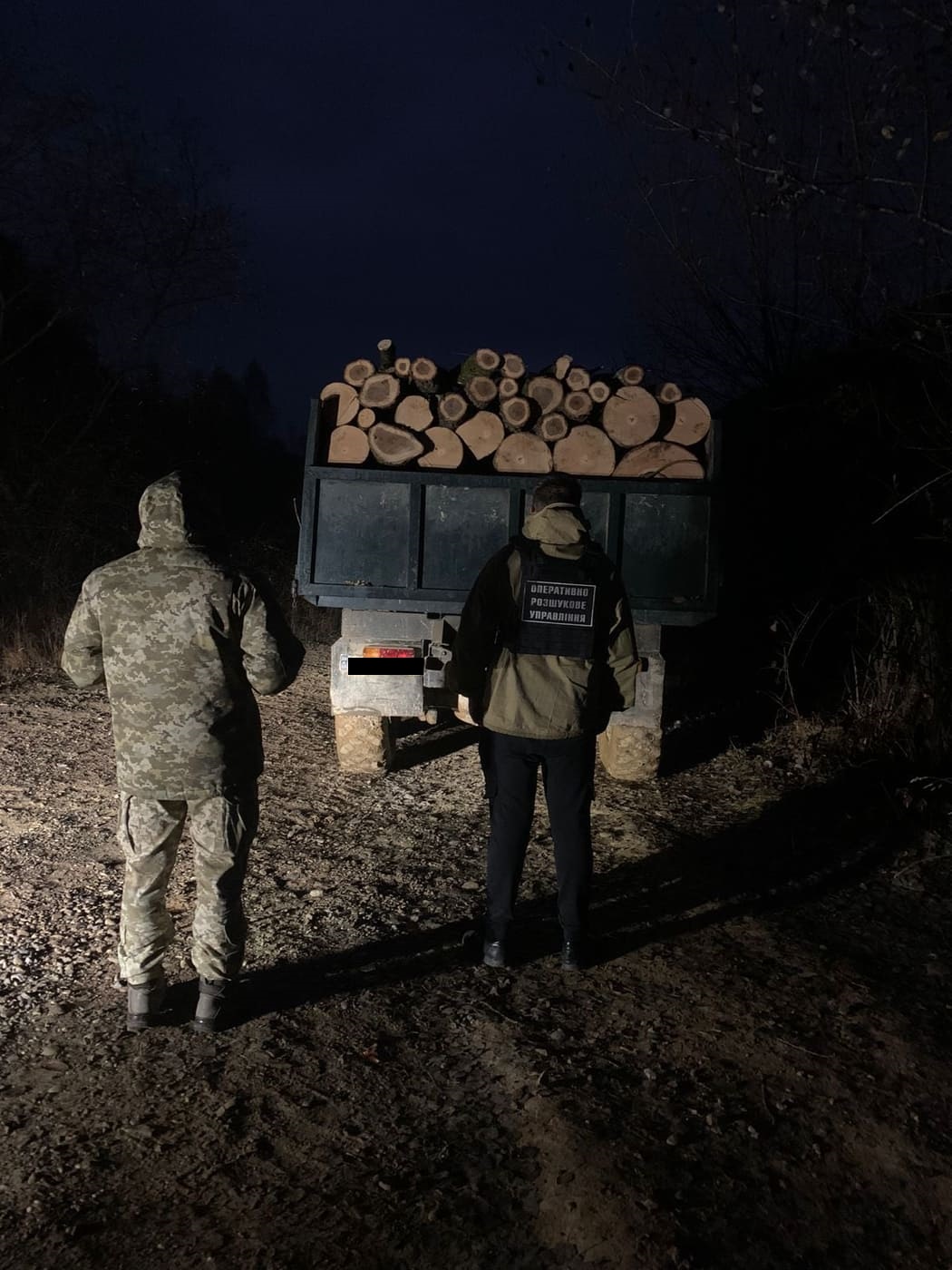 На Закарпатті затримали вантажівку, що незаконно перевозила дуб та бук (ФОТО)