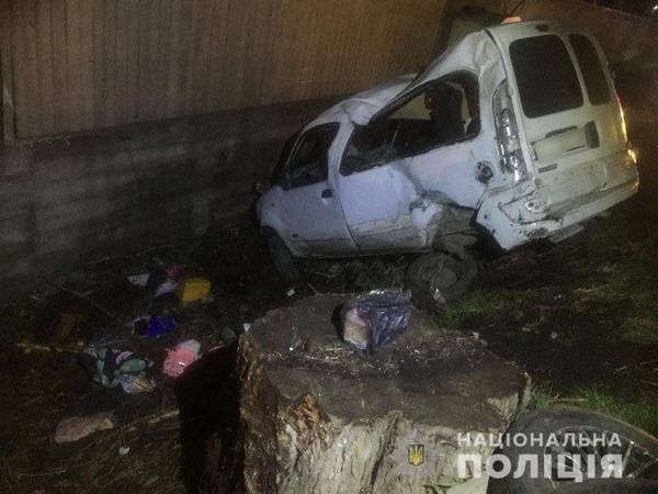 Смертельну ДТП на Тячівщині спровокував кінь, що раптово з'явився на дорозі (ФОТО)