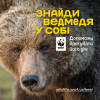 Бурі ведмеді – під загрозою зникнення в Україні