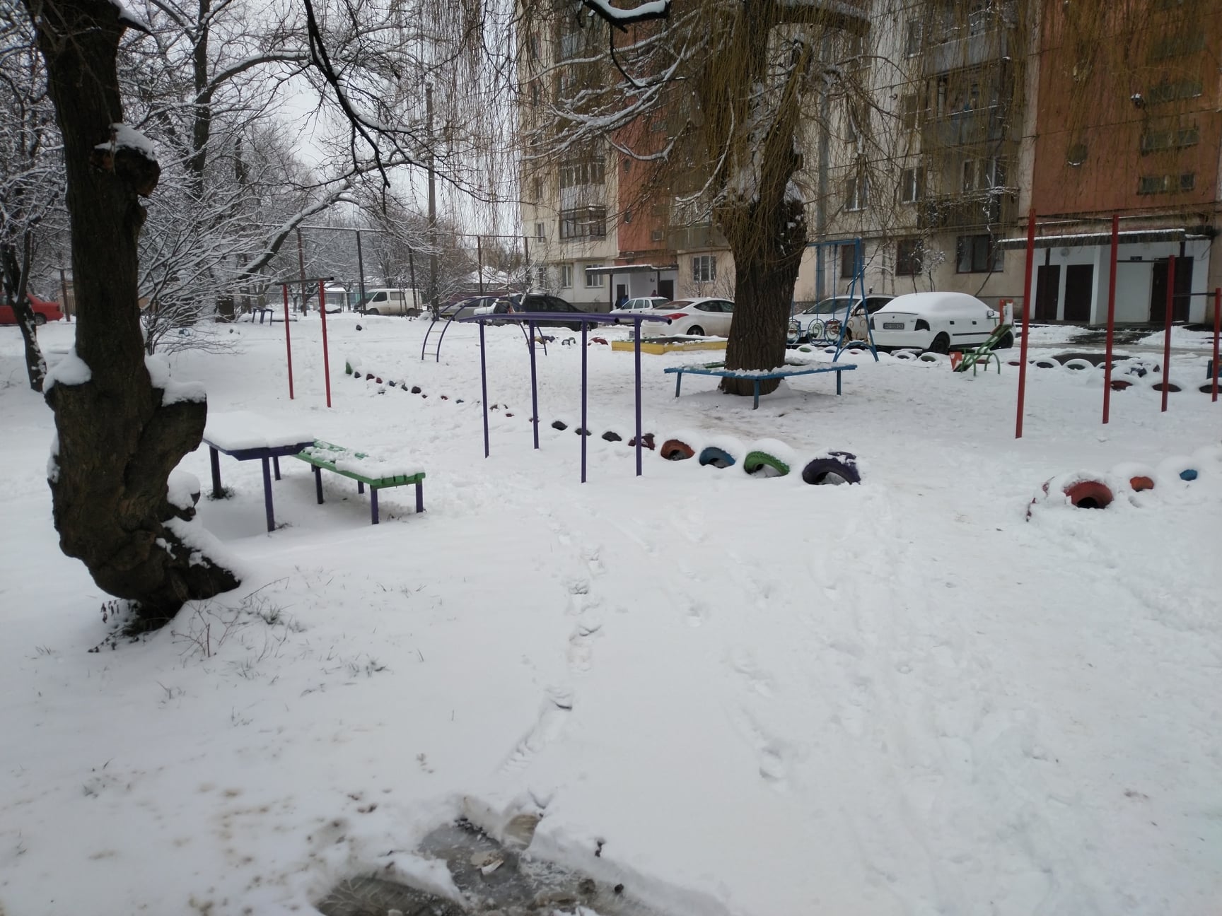 Двір на Шахті в Ужгороді вберегли від забудови