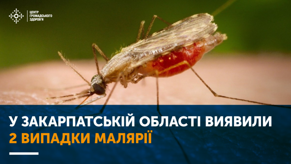 У лютому на Закарпатті у матері та її майже дворічного сина виявили малярію