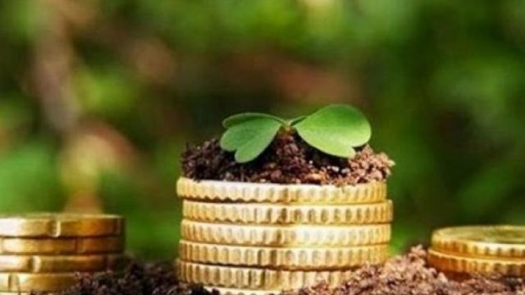 На Закарпатті у першому кварталі сплачено майже 110 млн грн за землю