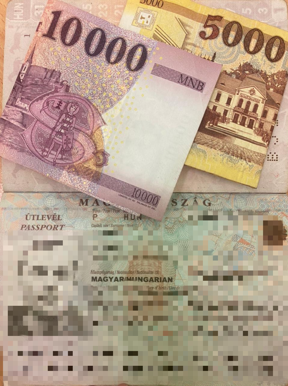 З початку тижня 8 іноземців пропонували хабарі прикордонникам Мукачівського прикордонного загону (ФОТО)