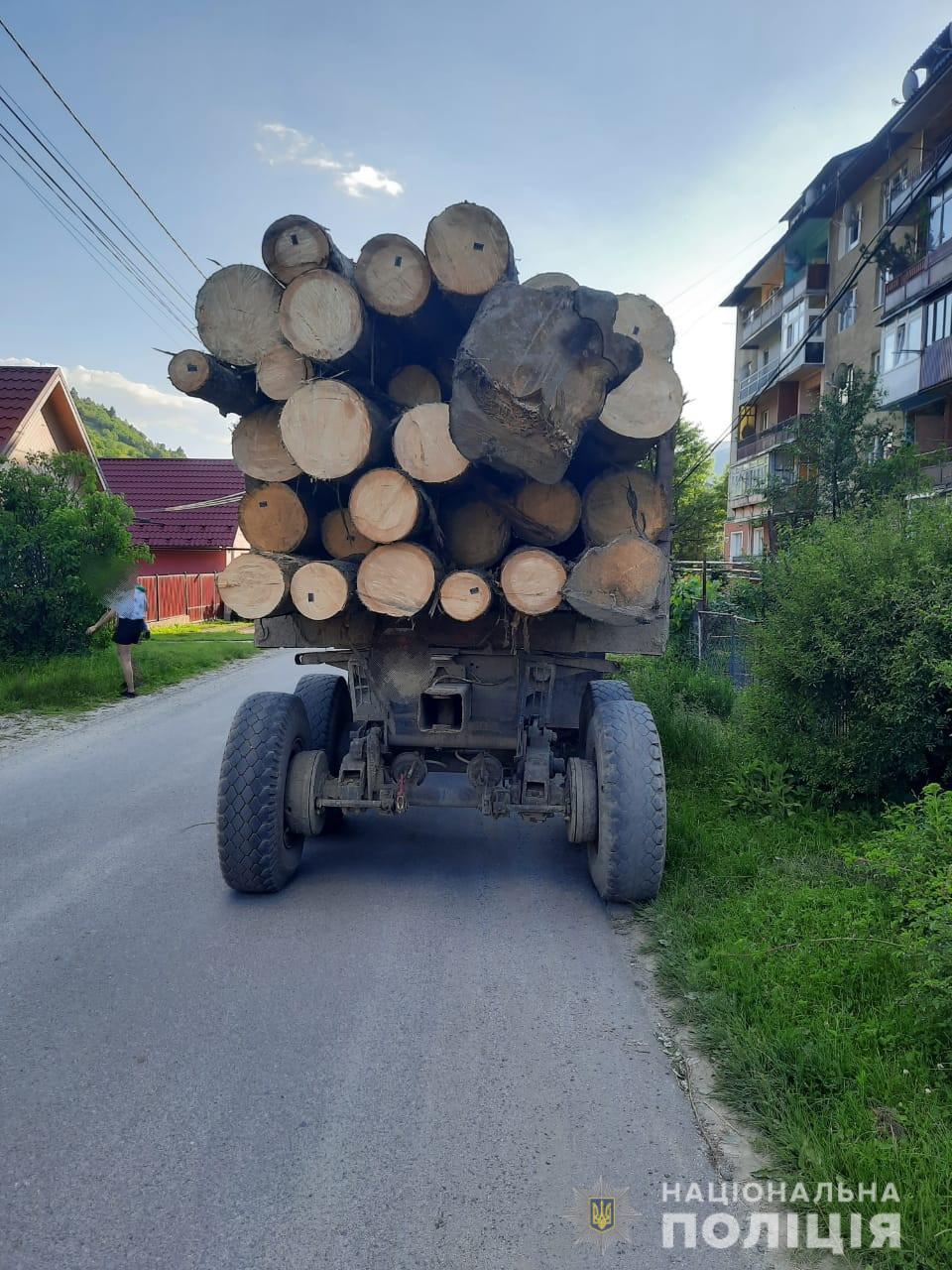 У Рахові зупинили "Урал", завантажений сумнівною ялиною (ФОТО) 