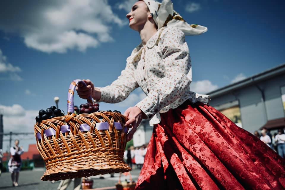 На Берегівщині відбувся арт-проєкт "Виноградна лоза" (ФОТО)