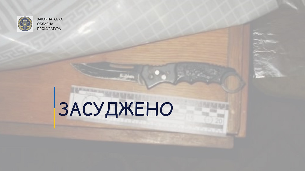 За умисне вбивство співмешканки в Ракошині закарпатця засудили до 7 років тюрми