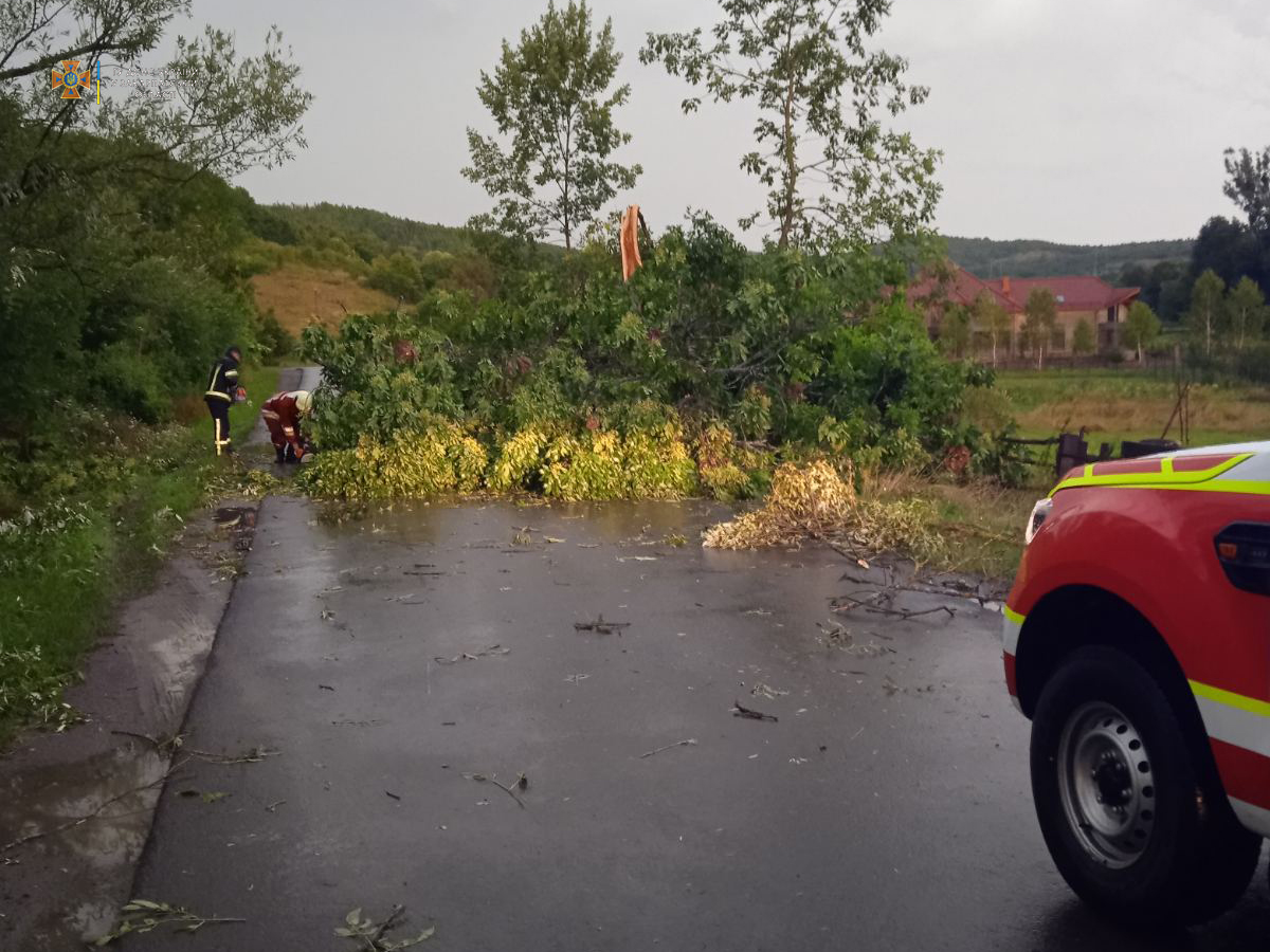 На Закарпатті через негоду падали дерева та пошкоджені покрівлі житлових будинків (ФОТО)