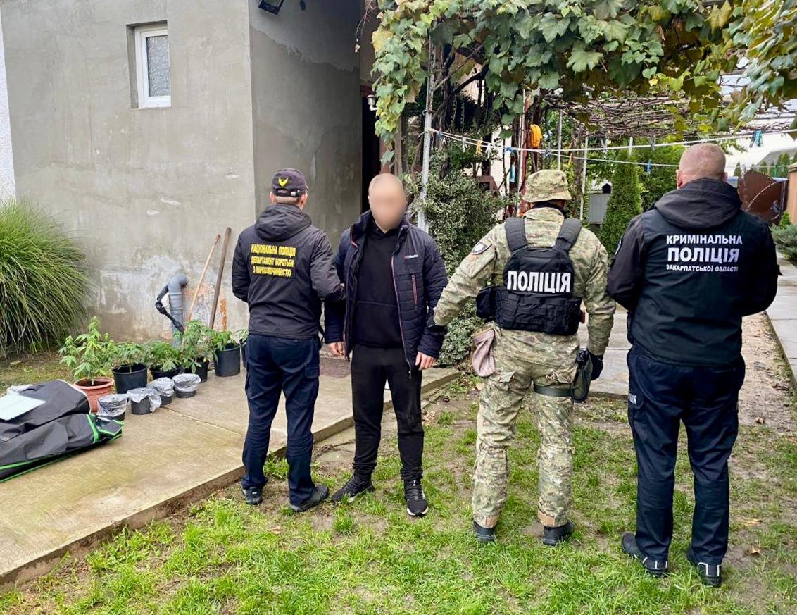 У Виноградові чоловік у будинку обладнав мінілабораторію для вирощування конопель (ФОТО)