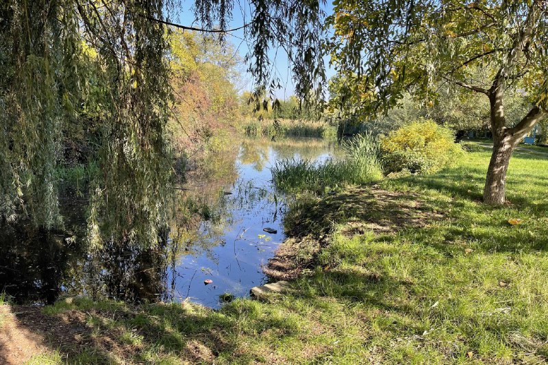 Завершено дослідження стану навколишнього середовища біля сміттєзвалища у Барвінку під Ужгородом