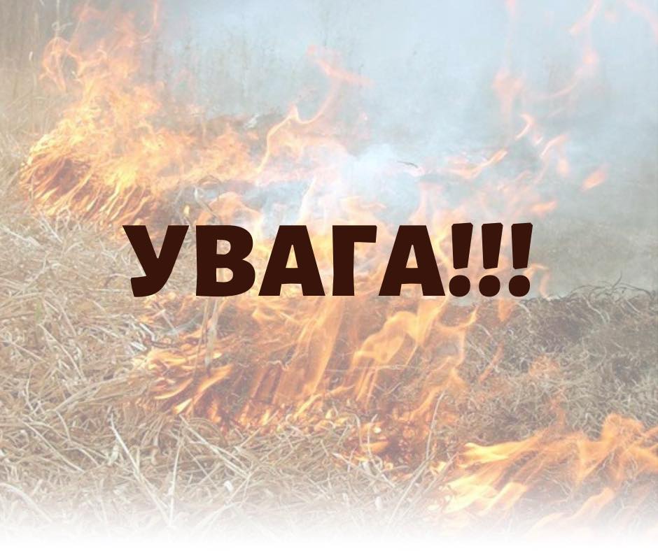 У Полянській громаді на Закарпатті оголосили про винагороду для тих, хто спіймає паліїв сухостою
