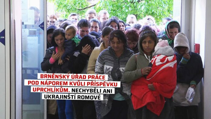 Відкриття Центру Зайнятості у місті Брно. Урядовці невдоволені, що по виплати 5000 крон чеських звертаються передусім роми із безпечного Закарпаття, які, до того ж, часто мають угорське громадянство