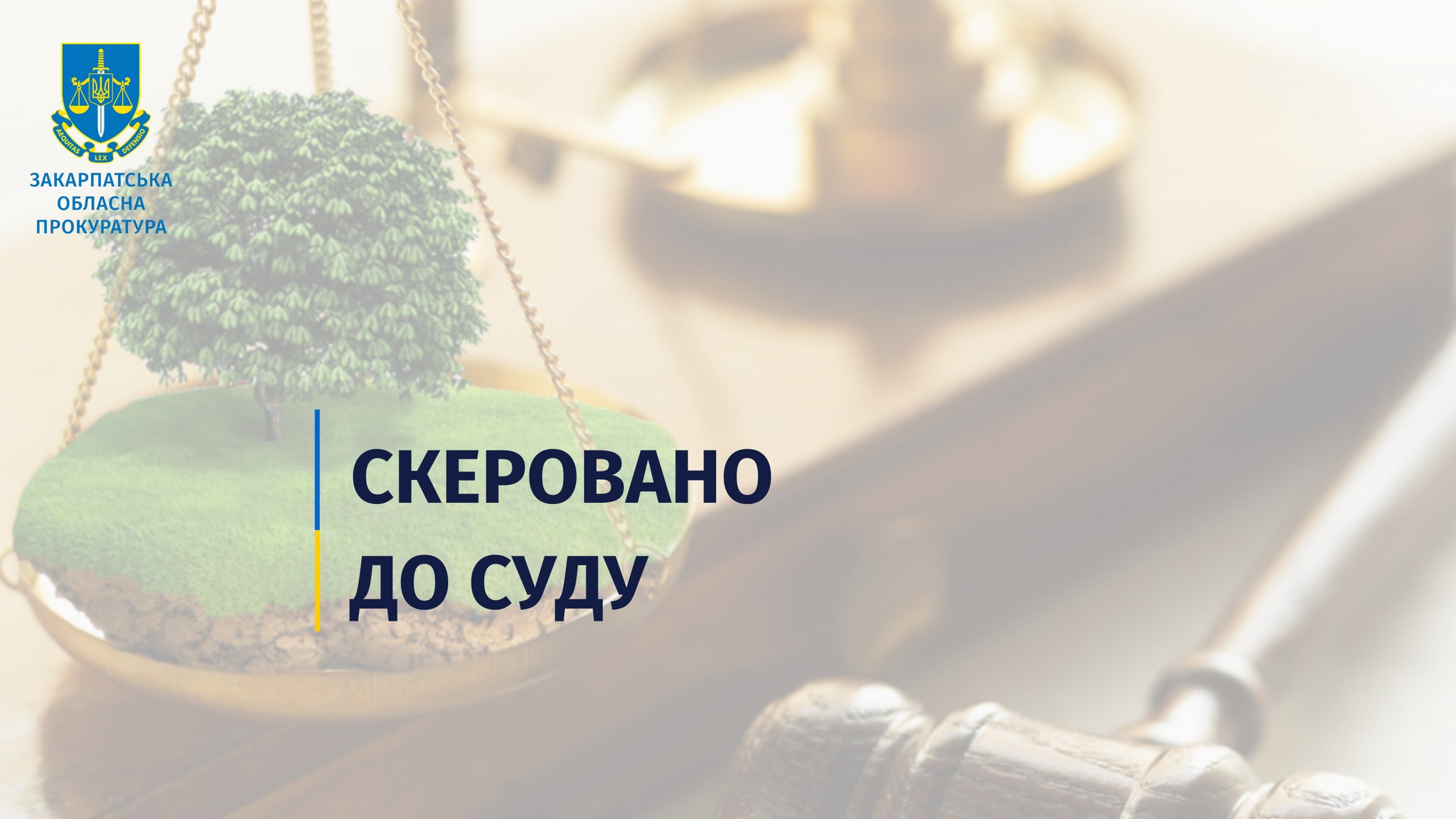 На Іршавщині за незаконну передачу землі у власність судитимуть ексначальника райвідділу земельних ресурсів