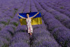 На Закарпатті влаштували творчий лавандовий фототур, щоб підтримати авто-ініціативу Андрія Любки (ФОТО)