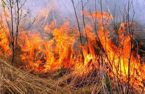 У Перечині, спалюючи суху траву, жінка отримала опіки