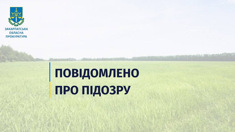 На Закарпатті держреєстратор незаконно "продав" ділянку з лісового фонду