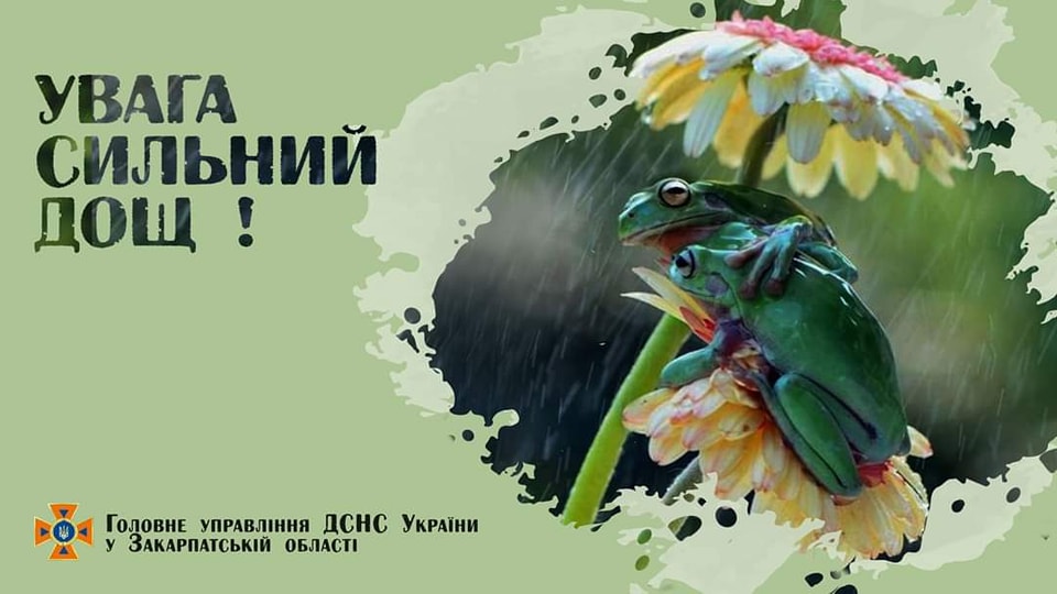 На Закарпатті прогнозують грози та шквалисте посилення вітру