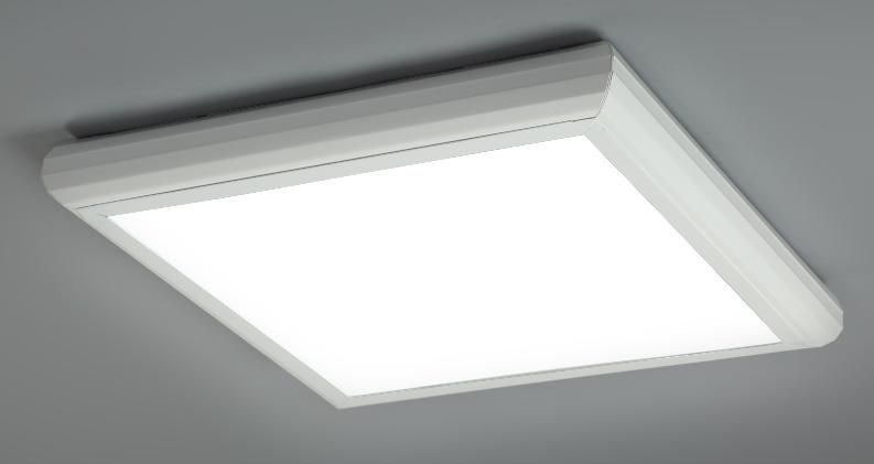 Іршавська міська рада переплатить за LED світильники дружині свого депутата  