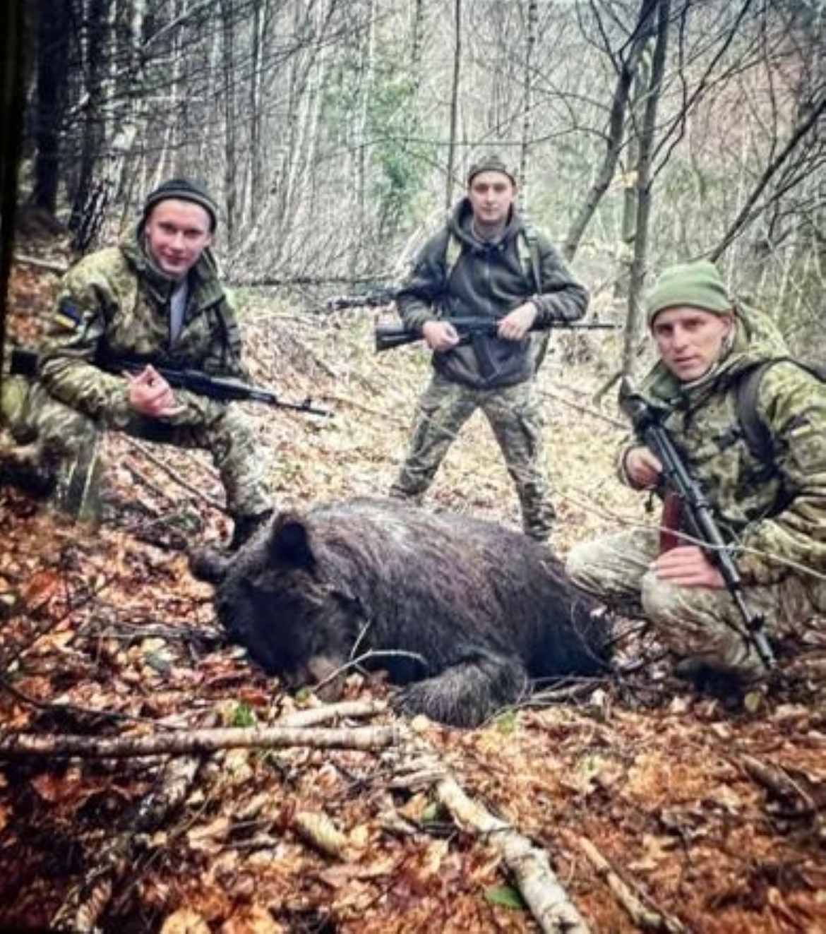 За фактом вбивства ведмедихи прикордонниками поліцією Закарпаття зареєстровано кримінальне провадження