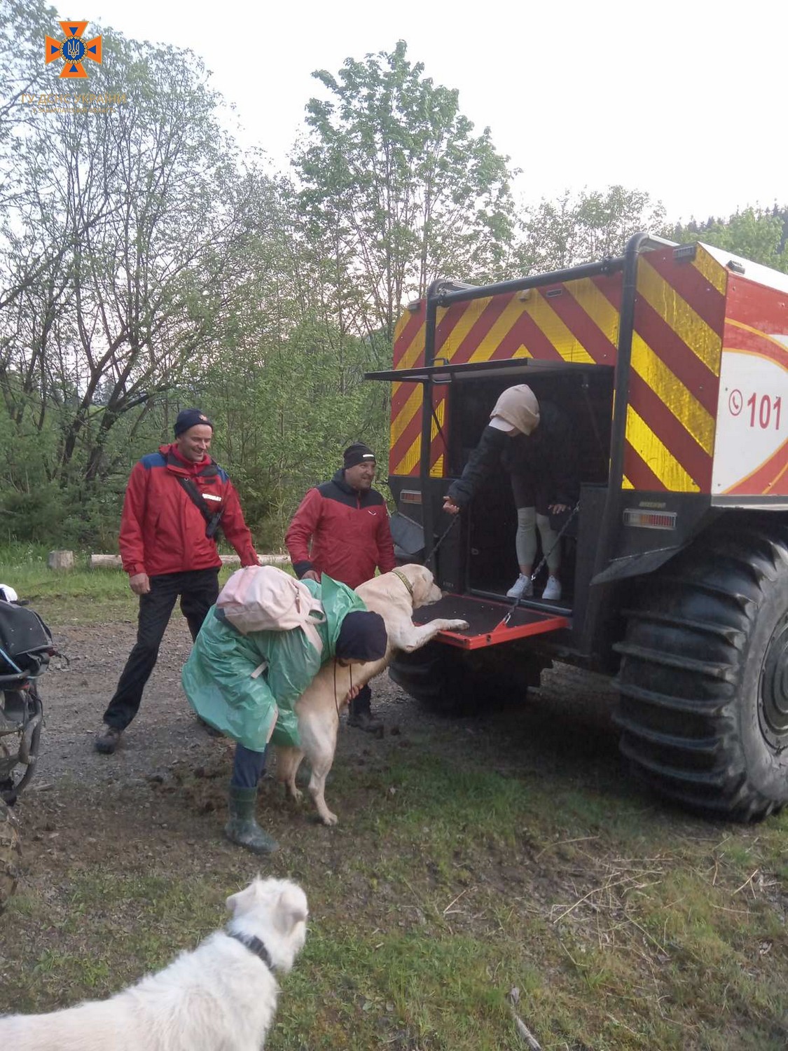 У горах на Рахівщині заблукали двоє туристів із трьома собаками (ФОТО) 
