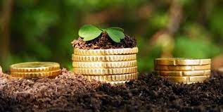 На Закарпатті сплачено за землю понад 210 млн грн